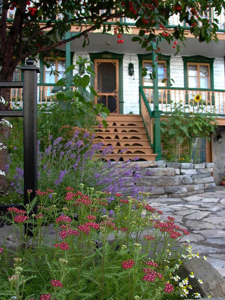 Auberge Du Maitre Forgeron 波普雷 外观 照片